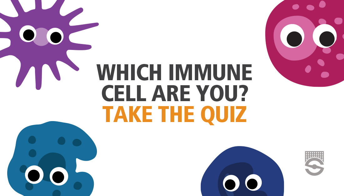 Take our immune cell personality quiz to see which cell you are most like: bit.ly/4b9n5sb If you're attending #AAI2024, stop by booth #603 and you might see some familiar faces. 👀🧁