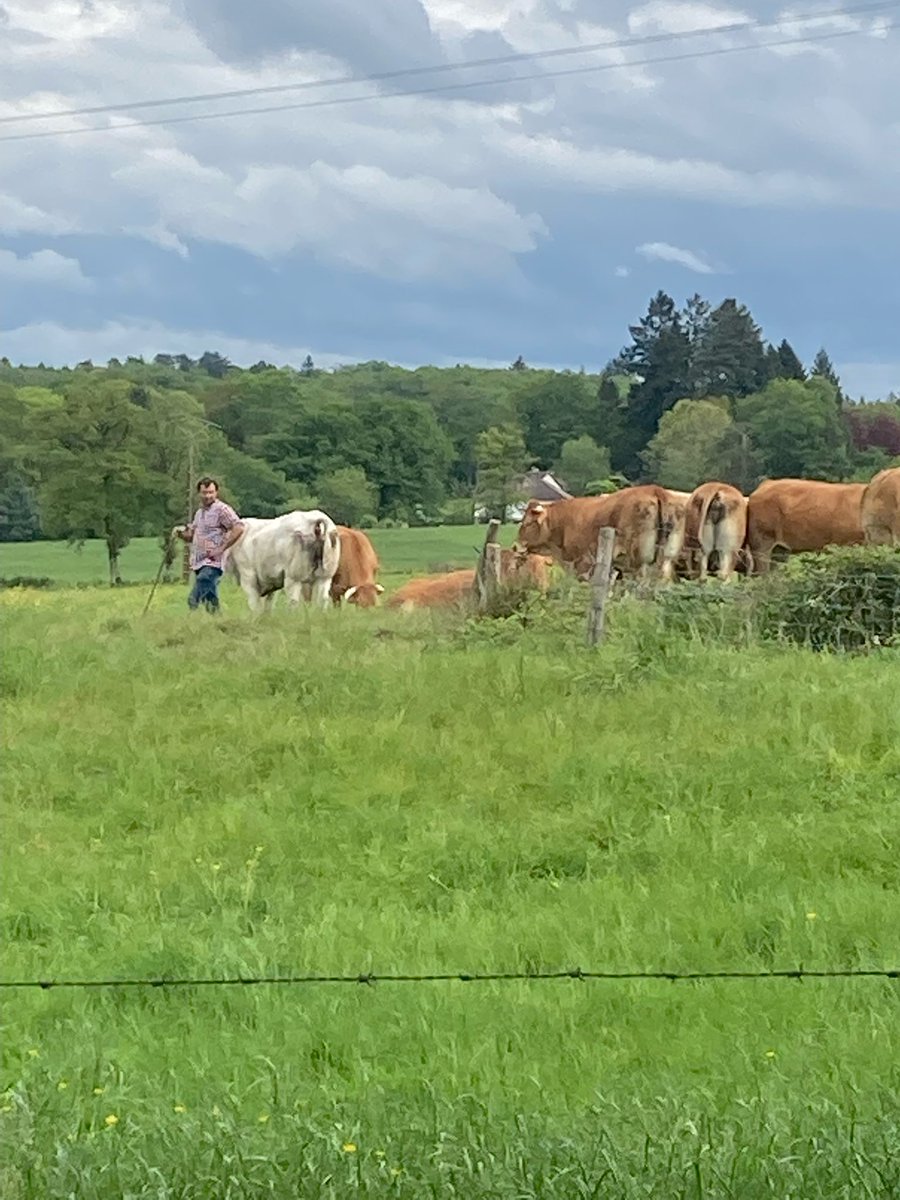 Christophe Sudraud (@c_sudraud) on Twitter photo 