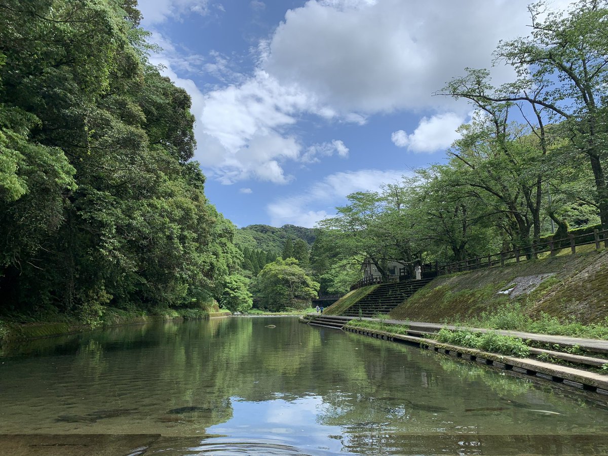 klarinkiku's tweet photo. 初めてきた吾平山陵。初代天皇、神武天皇のお父君とお母君のお墓。参道の林も隣を流れる川もなんとも言えない静けさがあって、パワースポットと言われるのがよくわかった‥。日本文化で神話やお祭りについて学んだから神様達がわかるようになって、看板を読むのが楽しい😊
#探究学舎
#日本文化 https://t.co/BbVokb2Udw