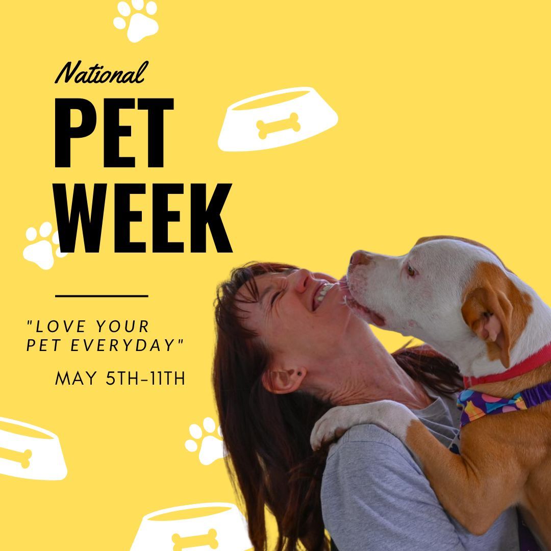 National Pet Week is a special time to celebrate the joy and companionship that our pets bring into our lives. Let's take this week to honor our furry friends with extra love, care, and attention!