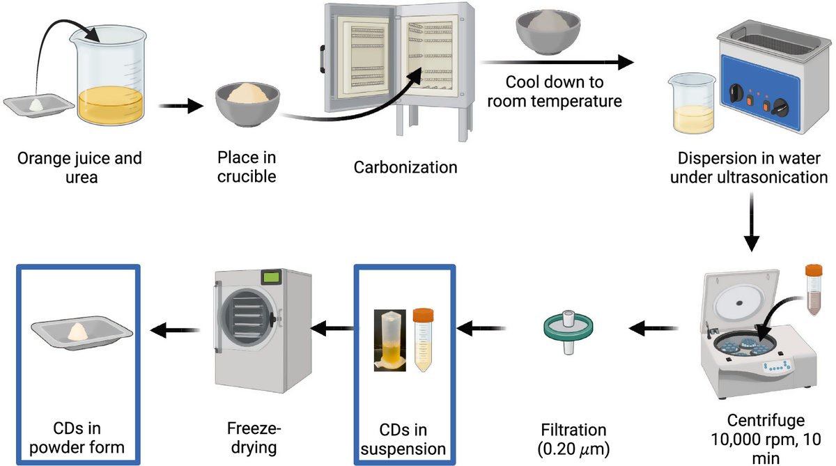 Recientemente publicado: Effect of carbon dots supplementation in Chlorella vulgaris biomass production and its composition @TecdeMonterrey #biomass ow.ly/jm8Y50RvH2g