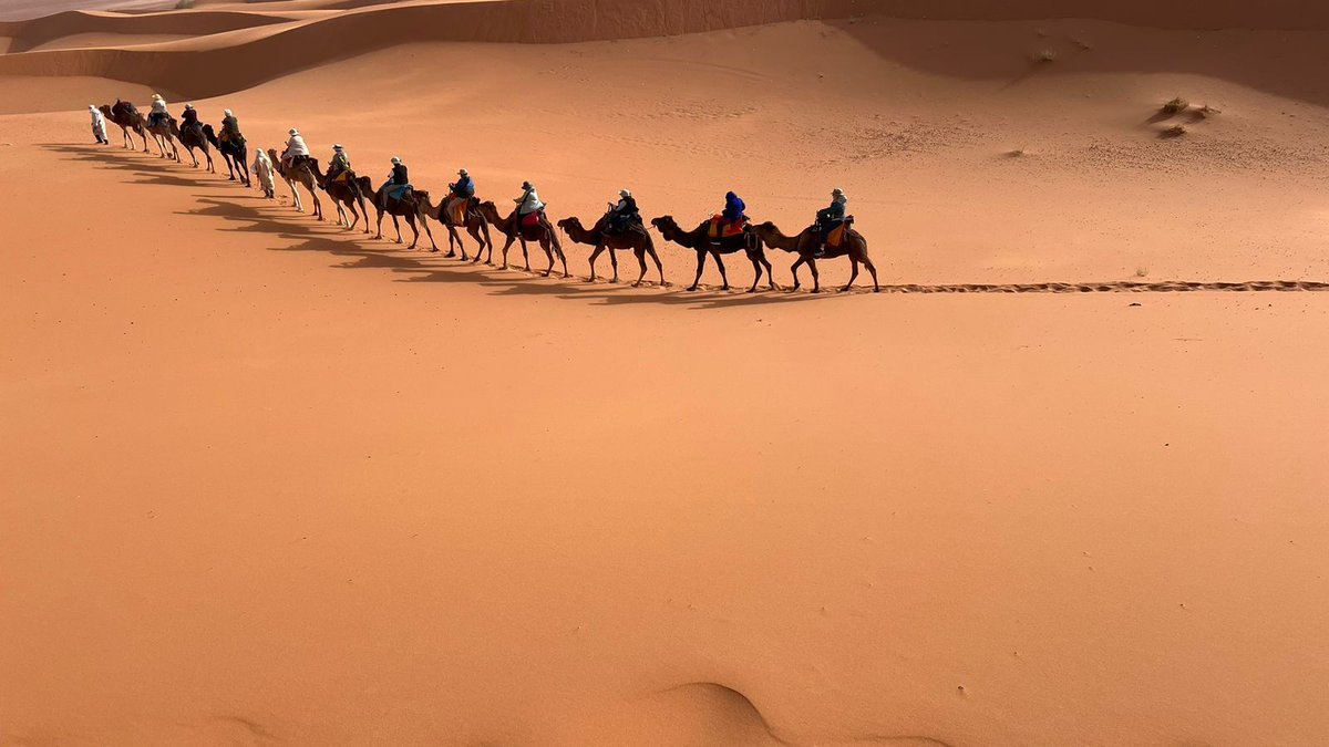 Where are you going to this weekend?

Whatever you plans are: we wish you a great weekend!

#weekend #weekendvibes #morocco #maroc #moroccotravel #travelmorocco #desert #sahara #caravan