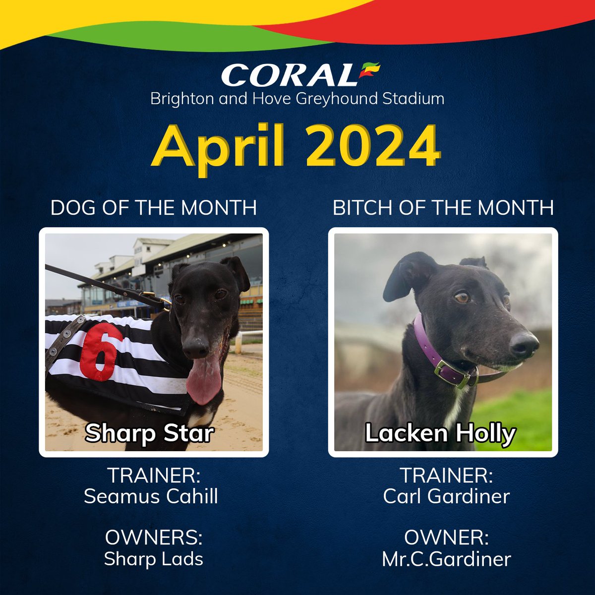 A huge congratulations to April's dog and bitch of the month and their connections! 🏆 The awards deservedly went to Sharp Star who climbed from A10 grade to A7 with 3 wins and 1 second place and Lacken Holly who climbed from A6 grade to A4 with 2 wins and 2 second places! 🐾