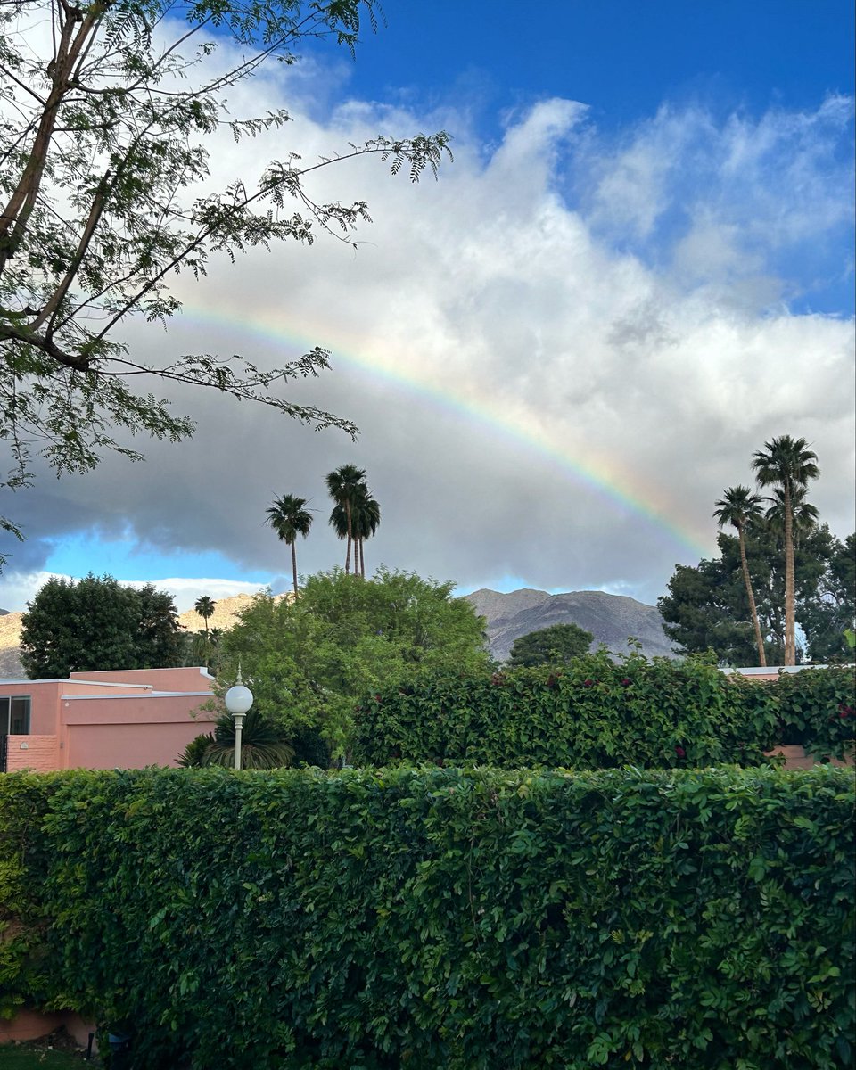 Front-yard view this morning 🌈