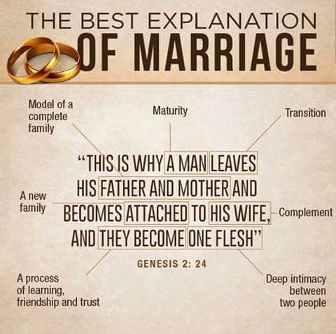 Since y'all are yapping about marriage today. Read n Learn