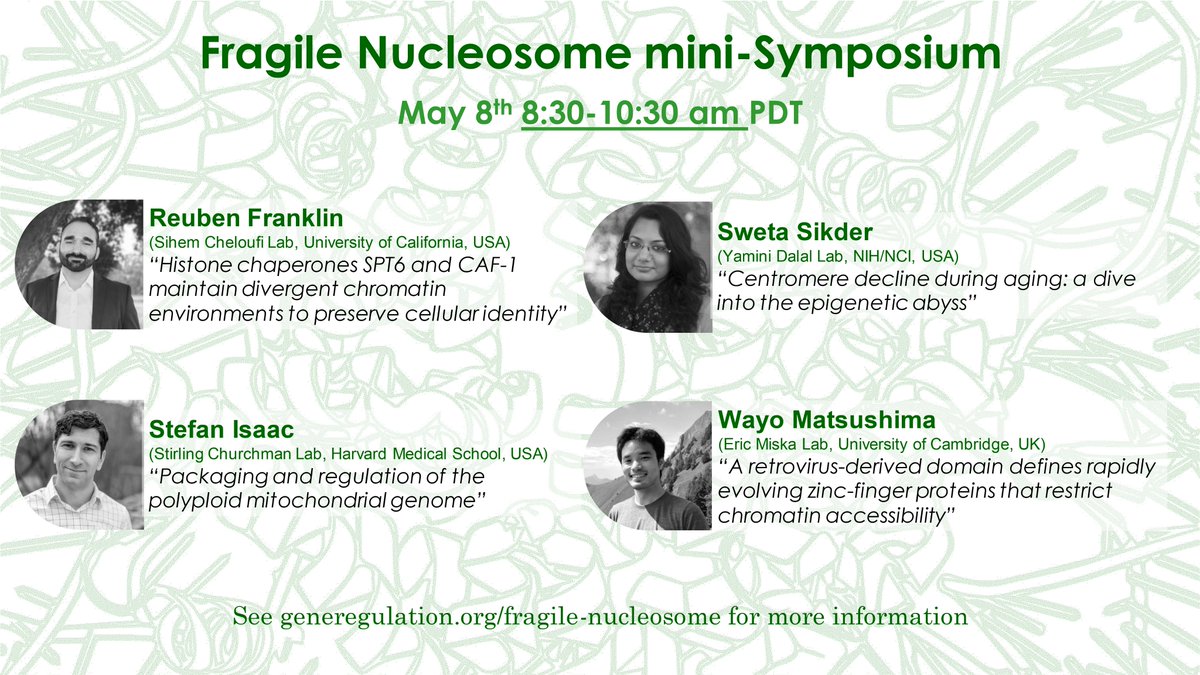 jackson hoffman (@jx_hoffman) on Twitter photo <a href="/FNucleosome/">FragileNucleosome</a> mini-symposium this week with talks from <a href="/sweta_sikder/">Sweta</a>, <a href="/wayomayo/">Wayo Matsushima</a>, @rsisaac, and Reuben Franklin!
We'll start 30min early at 11:30am EDT.
Register at osu.zoom.us/webinar/regist… <a href="/FNucleosome/">FragileNucleosome</a> mini-symposium this week with talks from <a href="/sweta_sikder/">Sweta</a>, <a href="/wayomayo/">Wayo Matsushima</a>, @rsisaac, and Reuben Franklin!
We'll start 30min early at 11:30am EDT.
Register at osu.zoom.us/webinar/regist…