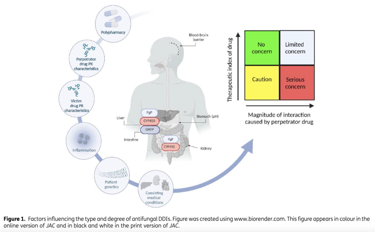 A great summary of 💊 triazole antifungal drug interaction ⬇️
doi.org/10.1093/jac/dk…