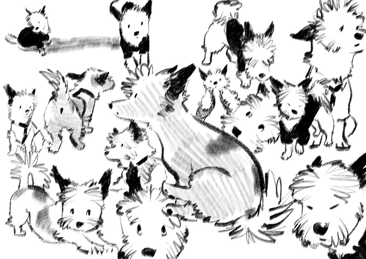 숙희🌈 (@dog__sookie) on Twitter photo 