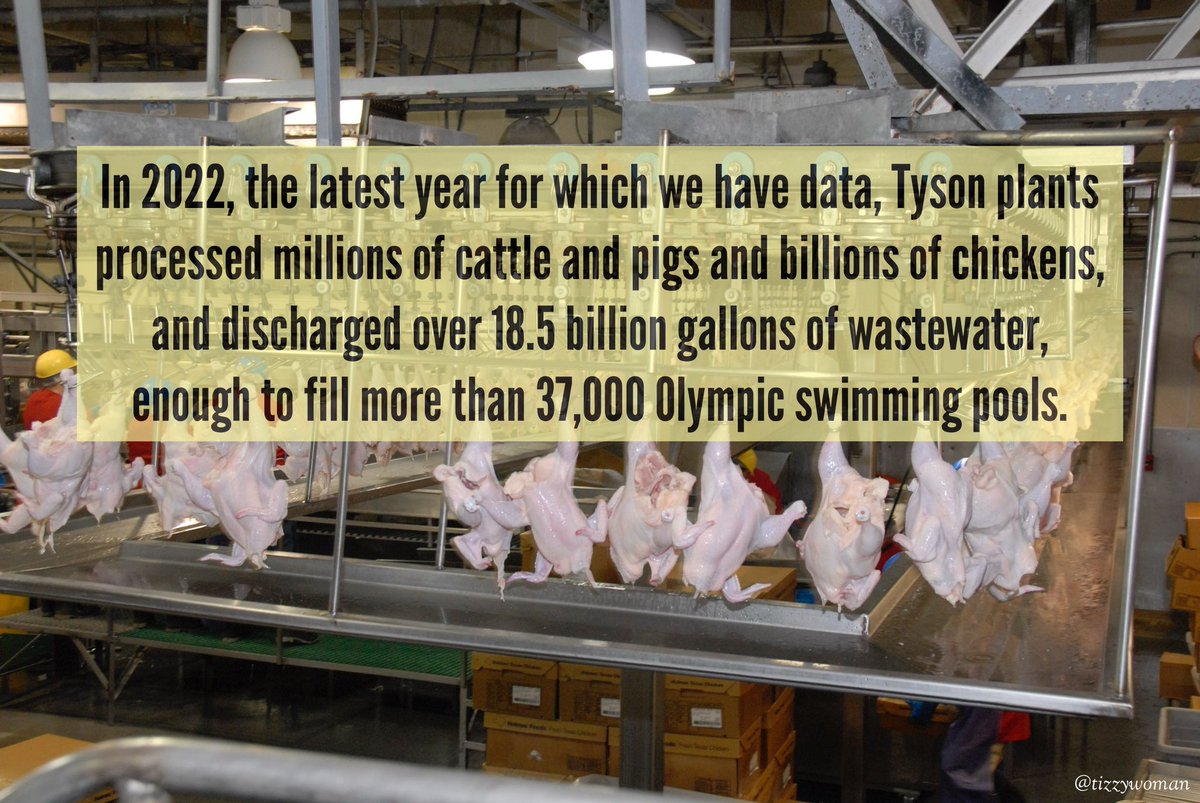Holy vomit-moly. Did you know that Tyson foods is the nation’s largest meat and poultry producer? 
Finally, the EPA is proposing establishing more stringent effluent limitations for nitrogen,  phosphorus, & more. 🔗 shorturl.at/cgpuX

#DemCast
#Vote4Climate 
#DemsUnited