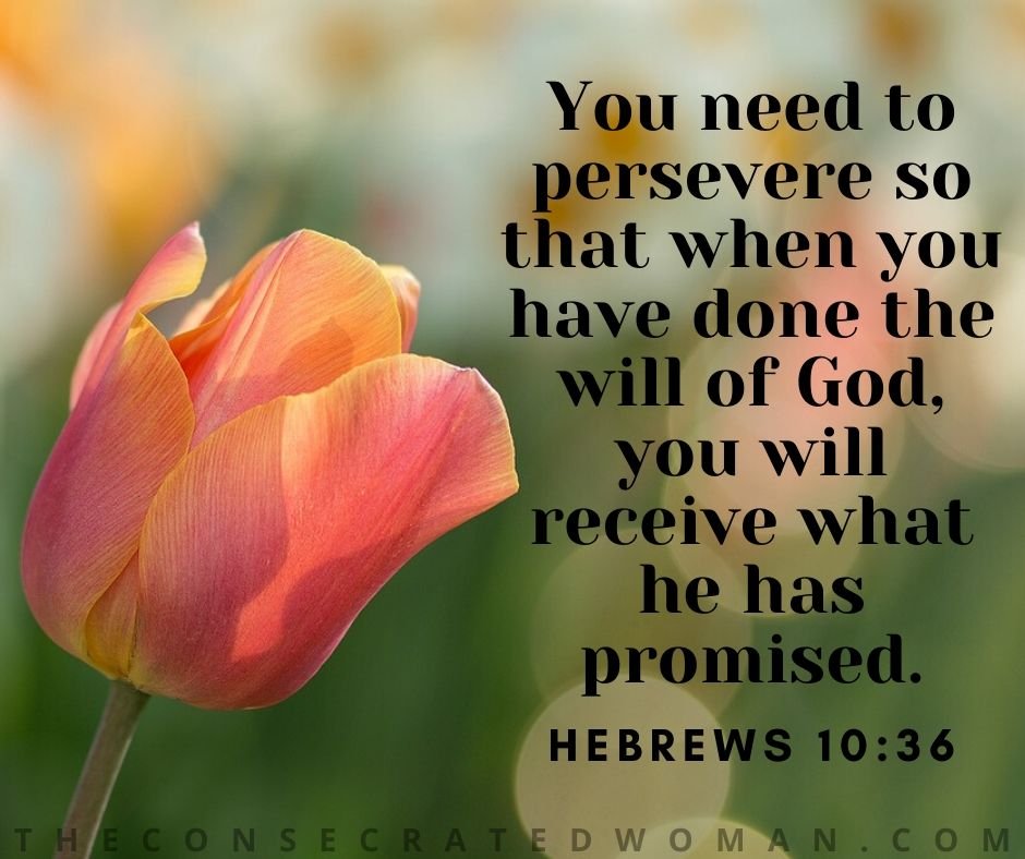 #Hebrews10v36 #perseverence #Godswill #Godspromises #thestruggleisreal #committment #adversity #confidence #trustGodstiming #youonlyfailifyouquit #rewards