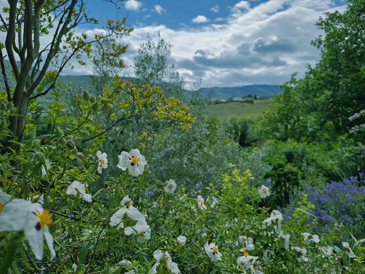 Enjoying this beautiful spring view of the Adèche hills. Forever. ❤️ #spring #landscape #ardeche #hill #weekend #weekendvibes #view #flowers #beautiful #nostalgia #sweetmemories