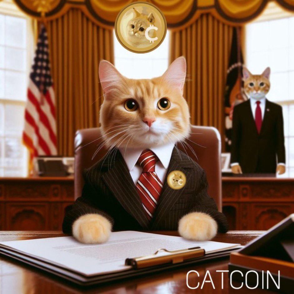 Regarding the #CAT system, only #catcoin by @catcoin is the only one that has entered the community's subconscious. #Catcoin will have a billion dollar capitalization. Only problem is time. Please follow my X.