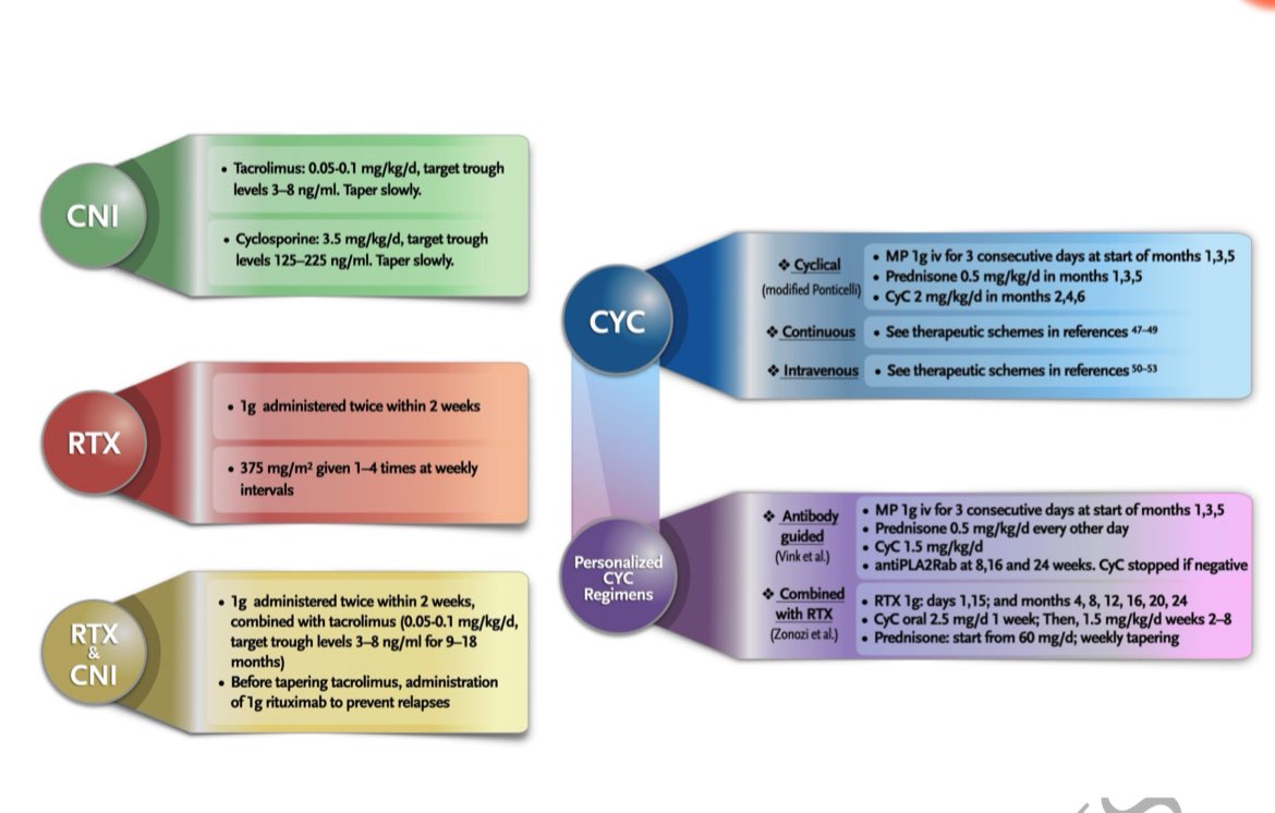 🫘💪Membranous GN risk stratification and treatment academic.oup.com/ckj/advance-ar… @CKJsocial