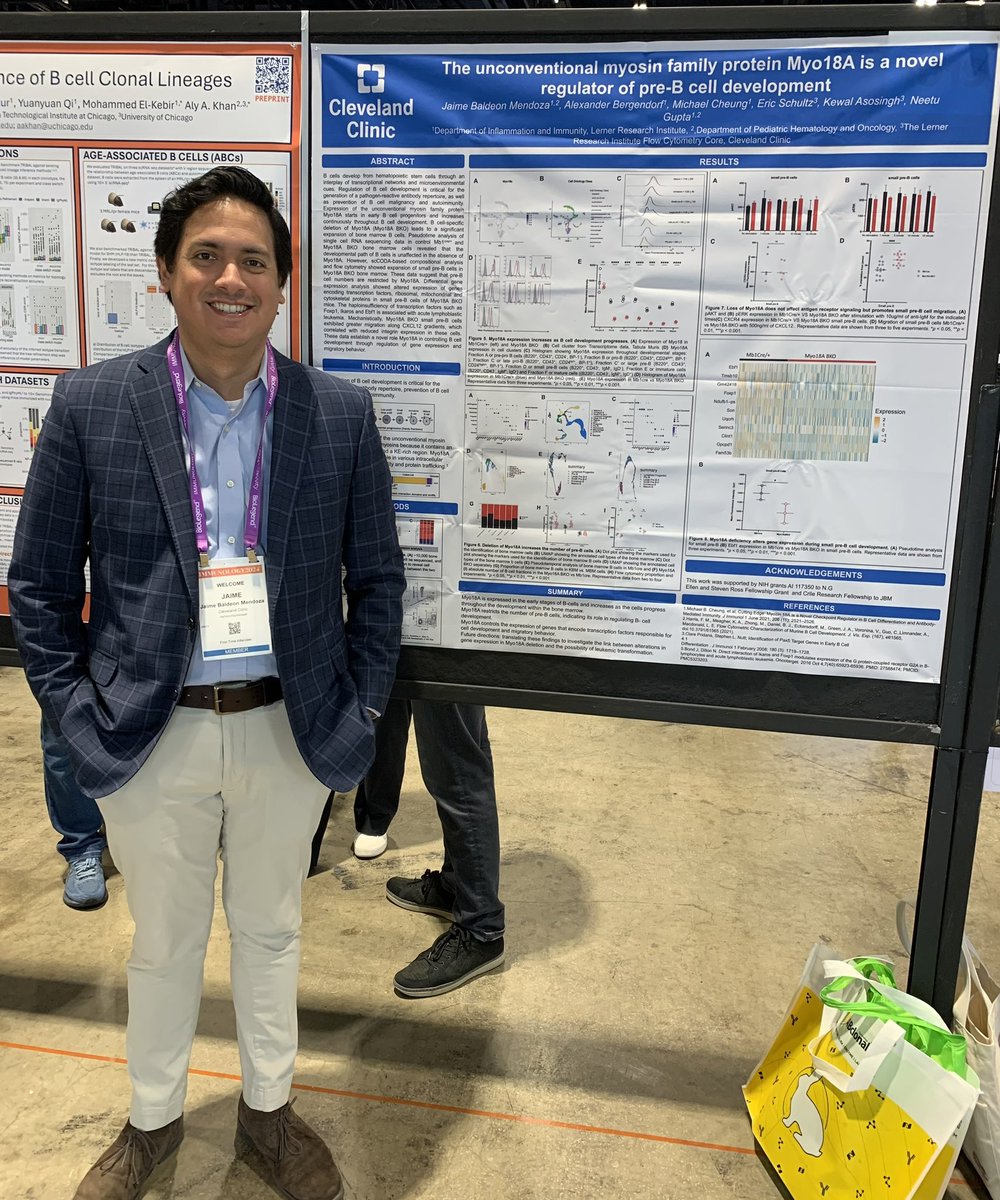 neetuguptaphd's tweet photo. I had to miss @ImmunologyAAI this year but am represented by two very talented trainees @jaimebaldeonm and #AlexKuo @CCLRI who presented posters on their new findings on regulation of #BCell autoimmunity and development #AAI2024 https://t.co/NBTJNgT7sJ