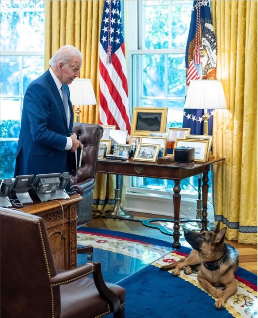 This is Commander with his human, President Joe Biden. Kristi Noem said today that this Good Boy should be put down. Turns out poor Cricket never had a chance with this psycho as her mom.
#FreshUnity
#CommanderBiden