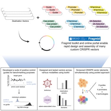 Modular vector assembly enables rapid assessment of emerging #CRISPR technologies Abby V. McGee @broadinstitute et al. hubs.li/Q02v7f4V0 Up-and-coming genomics research from @CellGenomics