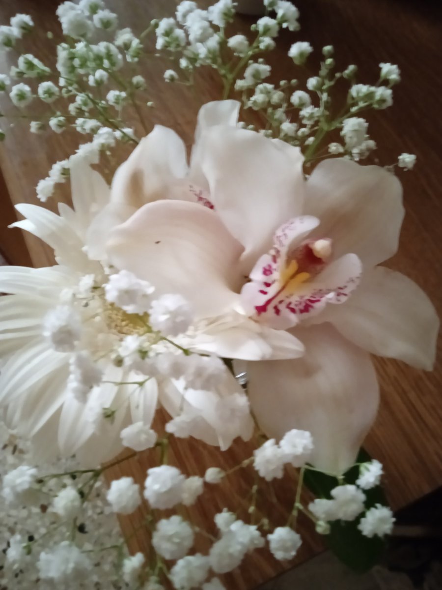 Τσάμπα τα ένσημα εδώ μέσα, κανείς σήμερα δεν μου είπε Χρόνια πολλά, φυσικά δεν κλαίω.. ίσως σας μπέρδεψα και εγώ.  Χριστός Ανέστη με υγεία ❤️ και του χρόνου με υγεία!!! Το  φως της Ανάστασης να μπει στις καρδιές μας και να μας οδηγήσει σε δρόμους φωτεινούς!!!