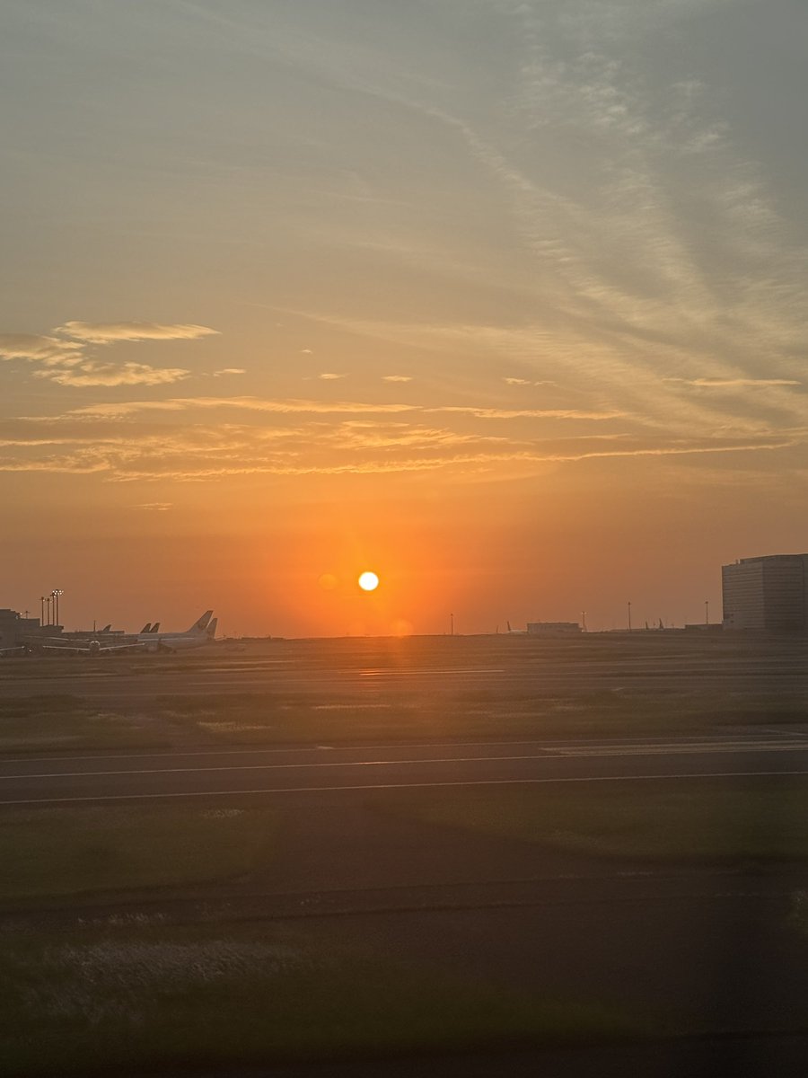 帰ったゼ🛬