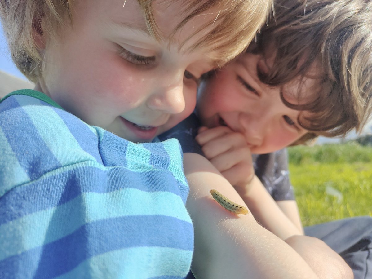 Making friends with a caterpillar 🐛