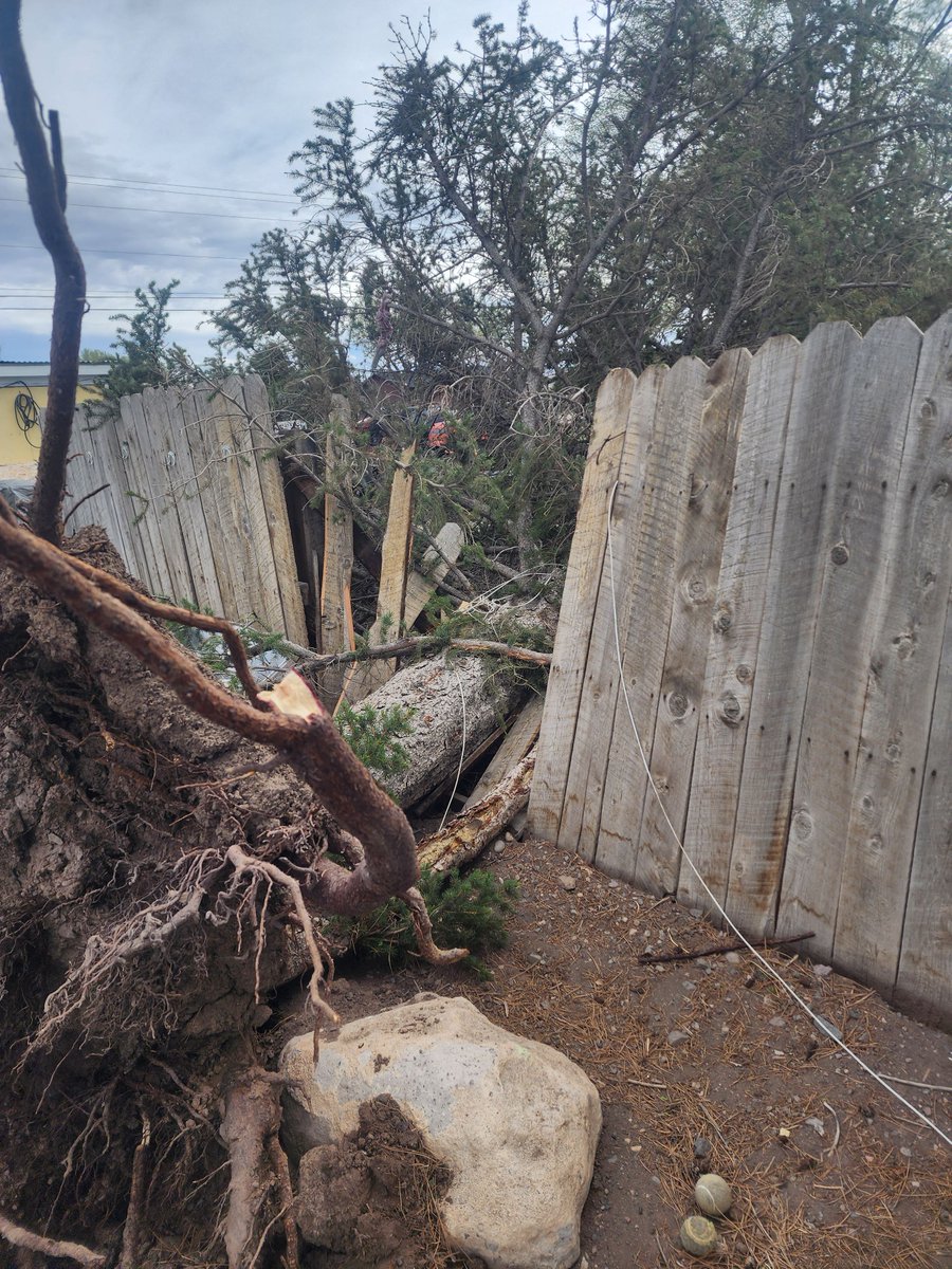 HIGH WINDS💨🌳 Gusts of up to 55 miles per hour are forecasted to last through Sunday evening in Utah's western and eastern valleys. Beware of fallen trees! Send your storm photos to kutv.com/chimein !! 📸: (1) Ryan Crowther in West Jordan, (2) April Jensen in Monroe