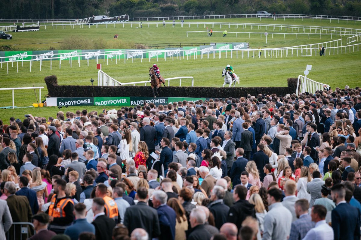 🏇 Rate these four National Hunt festivals in order of preference: 

- Cheltenham Festival 
- Punchestown Festival 
- Aintree Grand National Festival 
- Dublin Racing Festival 

Think of the experience on raceday, value for money, and how keen you'd be to go back.