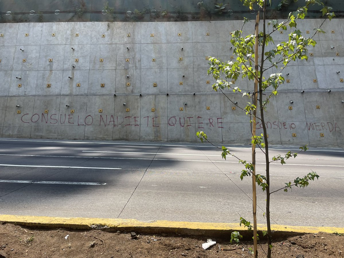 Lo que quedó pintado por las manifestaciones del año pasado. La población, que arriesgó todo, tenía una petición que este gobierno aún debe.

A Consuelo Porras nadie la quiere y se tiene que ir.