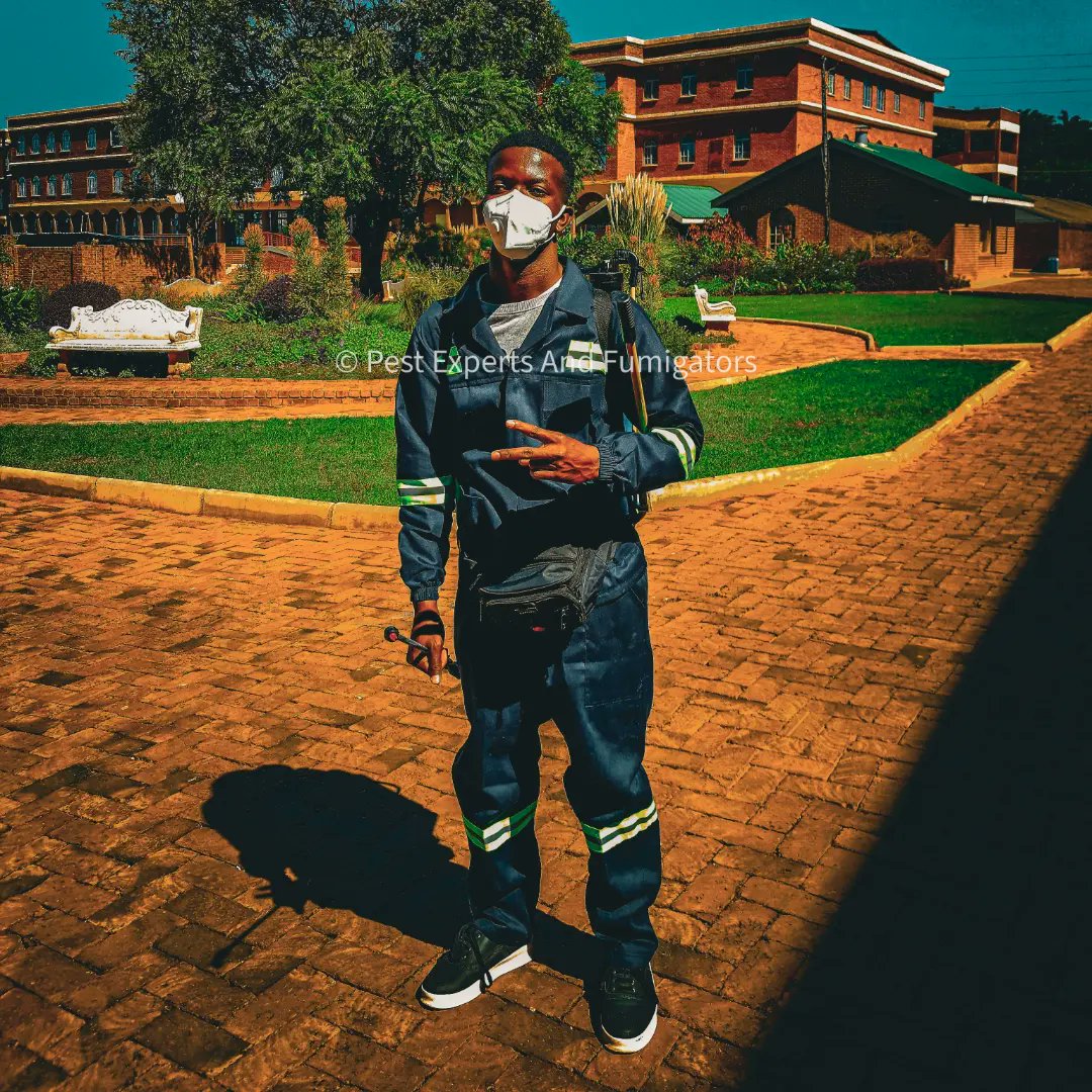 Teamwork triumphs! 💪👏 Our team successfully fumigated Samuel Centenary Academy in Zimbabwe, eliminating cockroaches, mosquitoes, and rodents! 🐜🦗🐀 Creating a healthier learning environment for students and staff! #FumigationSuccess #PestControl #Zimbabwe #SchoolFumigation