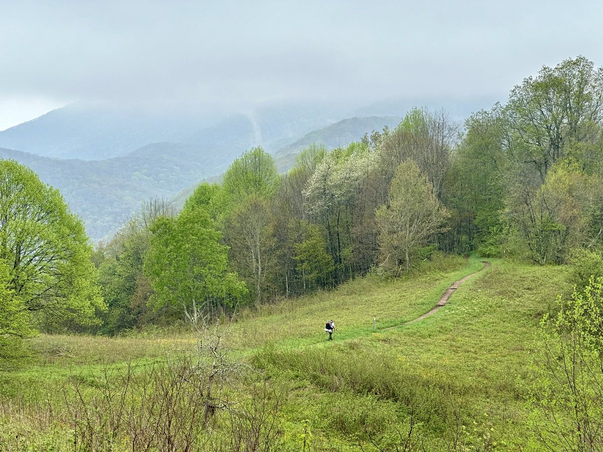 About 300 miles into the trail. Small people large spaces. #appalachiantrail #stormhour