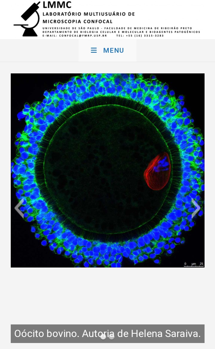 Posso não ser tão bonita a ponto de ser modelo, mas meus filhos são 😜🥰 um deles virou garoto propaganda do laboratório de microscopia confocal da USP de Ribeirão 💃🏼❤️