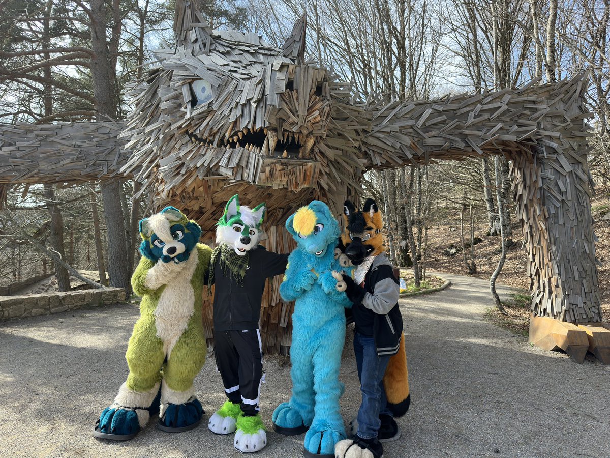 At the wolf park with furfriends ! Under the Legendary beast of the Gévaudan! @ColtArokaii @CorentinWolf @SpliteWh