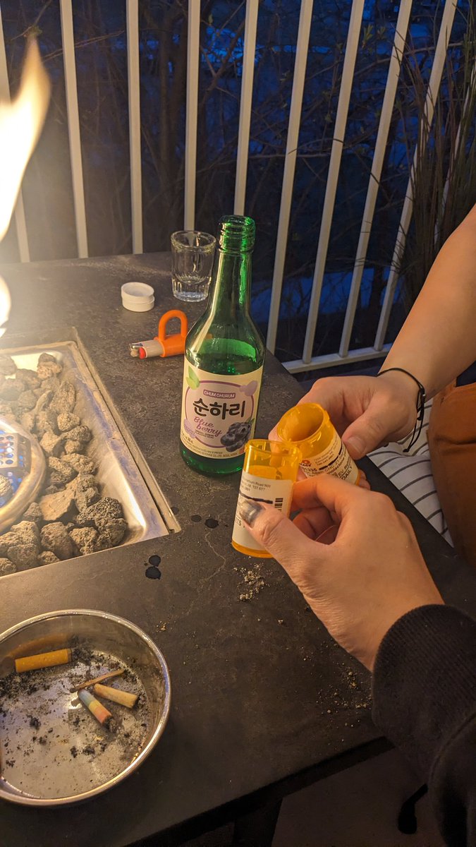 my t4t roommate and i were smoking gay weed and taking soju shots out our empty hrt bottles last night. life is worth living.