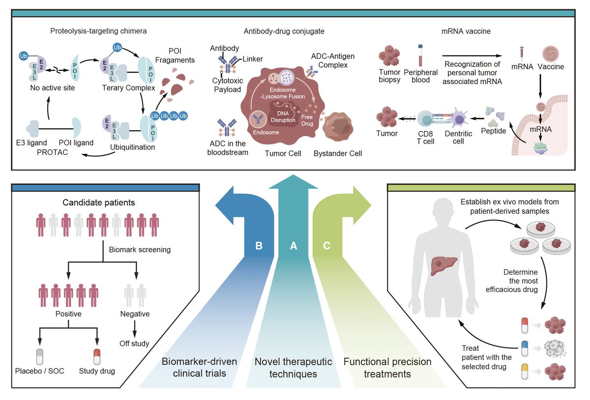 Precision treatment in advanced HCC @Cancer_Cell doi.org/10.1016/j.ccel… 👏Excellent summary on precision medicine in HCC 👉all you need to know on molecular classification, biomarker, iTME & future directions... @myESMO @EASLedu @ILCAnews #livertwitter