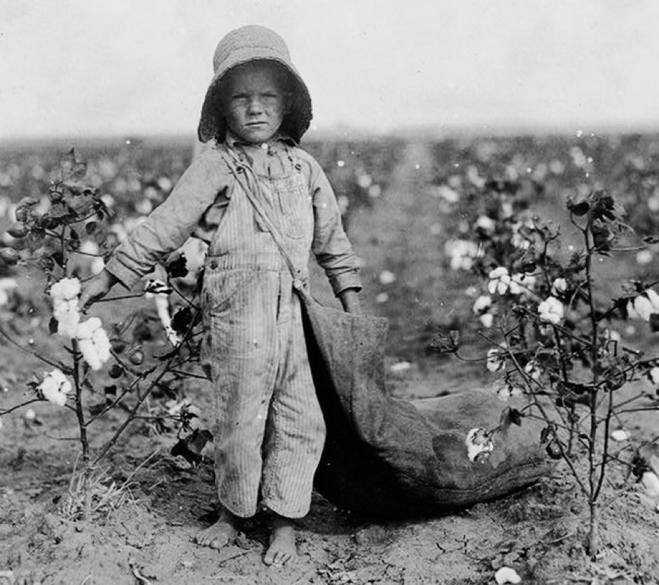 5 year old Harold Walker picks 20 to 25 pounds of cotton a day, Oklahoma, 1916.