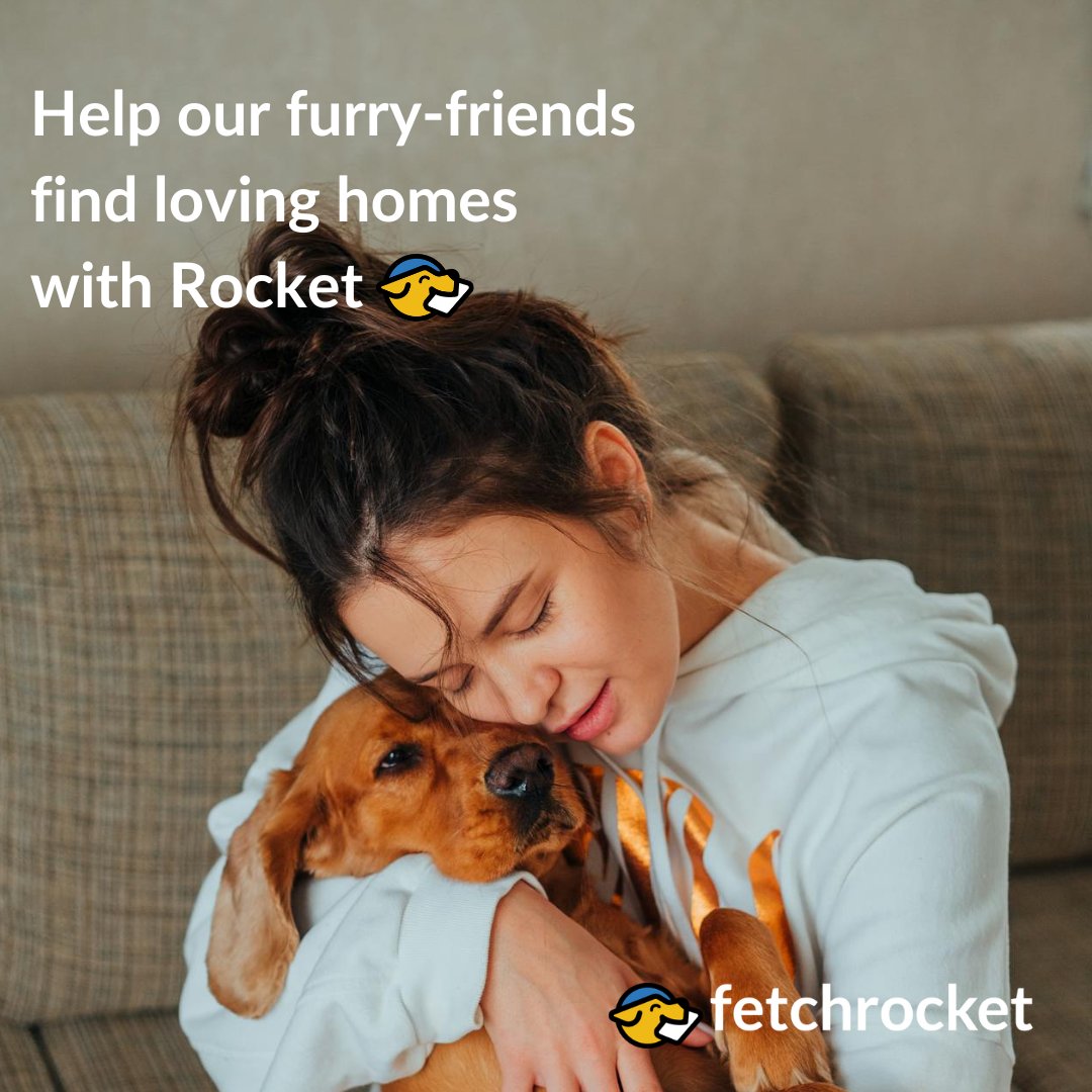 .@fetchrocket donates 3% of our profits to animal charities #AdoptDontShop