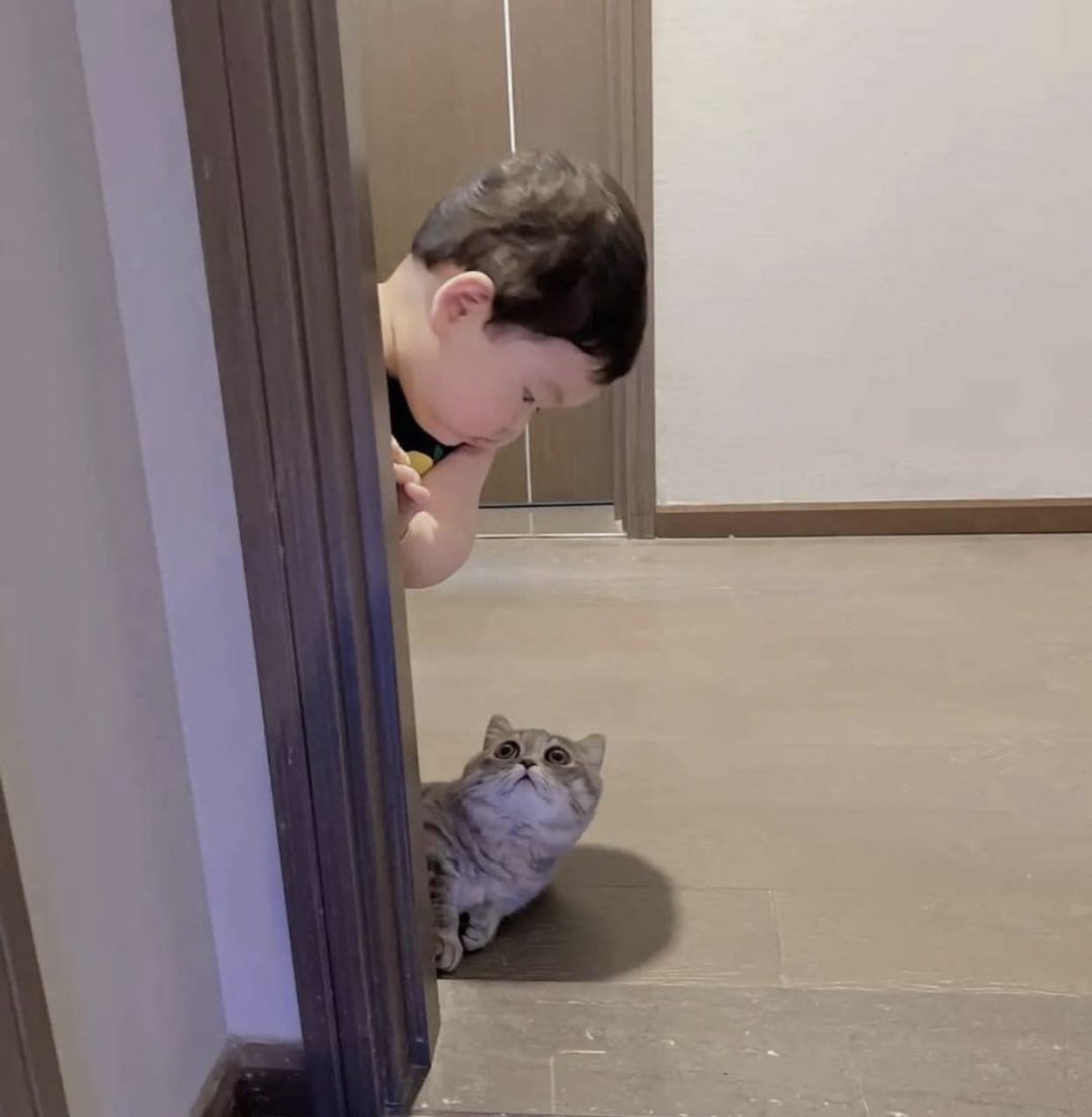 A cat and a child suddenly appear and end up in the same pose