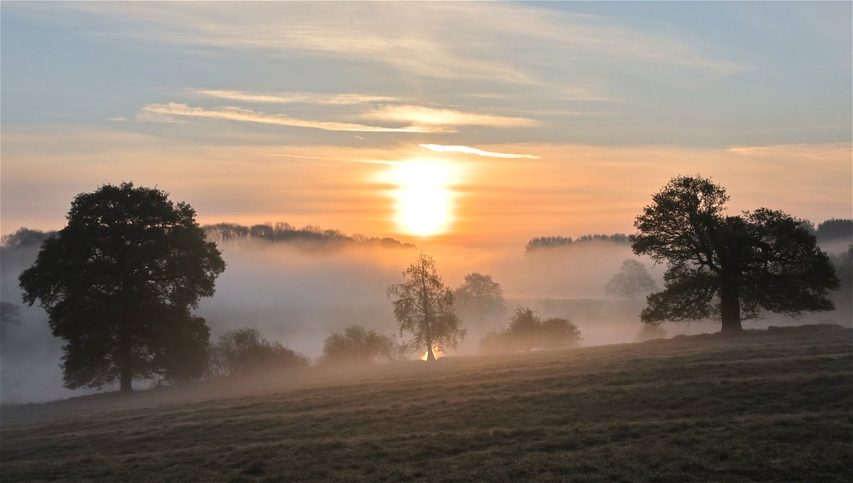 Started my day watching the #sunrise at Fawsley, my local #OnePlaceStudy. Then home for breakfast and on to Brandon Marsh for birding / bird photography (lots of familiar favourites, and at one point I watched four Hobbies hawking in the sky above me).