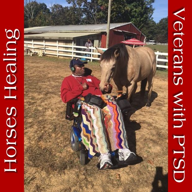 How horses are helping veterans w/PTSD
WATCH buff.ly/3K2Qf0T 
#SOT #SOV #iSBU @SaratogaWarHrse @HorseBackUK @andyoaklee @HomeFrontEquest @Sunking278 @tgradous @WH4Vets @HorseDocC @horses4veterans @Hooves4Heroes @PonyPowerTherap @EQUEST_TX @HandH_MT @TheHCF#TBI #PTS #DAV