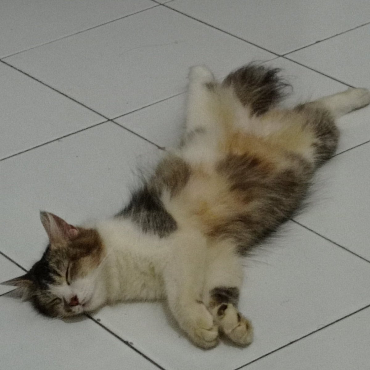 falfanastud's tweet photo. good night love https://t.co/RQTyzyiHY2