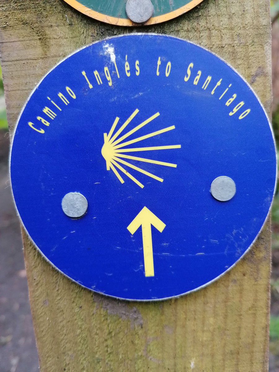 🌳Bluebells starting to appear in the woods in #Durham means time for a walk, but found out so much!
🏭 Thanks to the Houghall Trail info boards learnt that part of the area was once home to a community connected to a local mine.
🚶Also spotted signs for the Camino Inglés!
