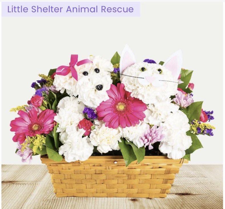 MOTHER’S DAY IS A WEEK AWAY!!!! Thank you to James Cress Florist for partnering with Little Shelter Animal Rescue. James Cress Florist has offered to generously donate 30% of sales for anything in this collection. jamescressflorist.com/collections/li… #mothersday #smithtown #jamescressflorist