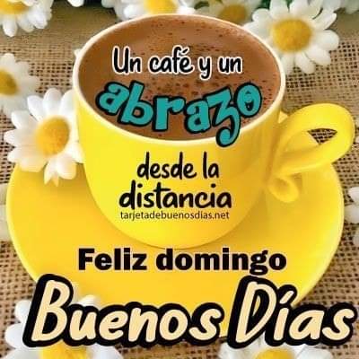 Feliz domingo amig@s!! 😊