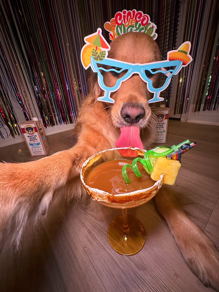 Happy #CincoDeMayo, act accordingly 🍹