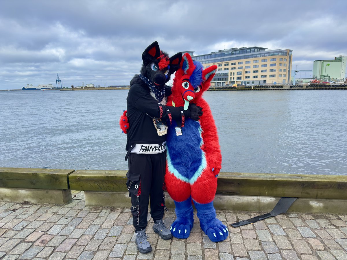 Just two foxxos 😇 📸 @GeotheWolf 🪡🦊❤️💙 @whitewingsuits