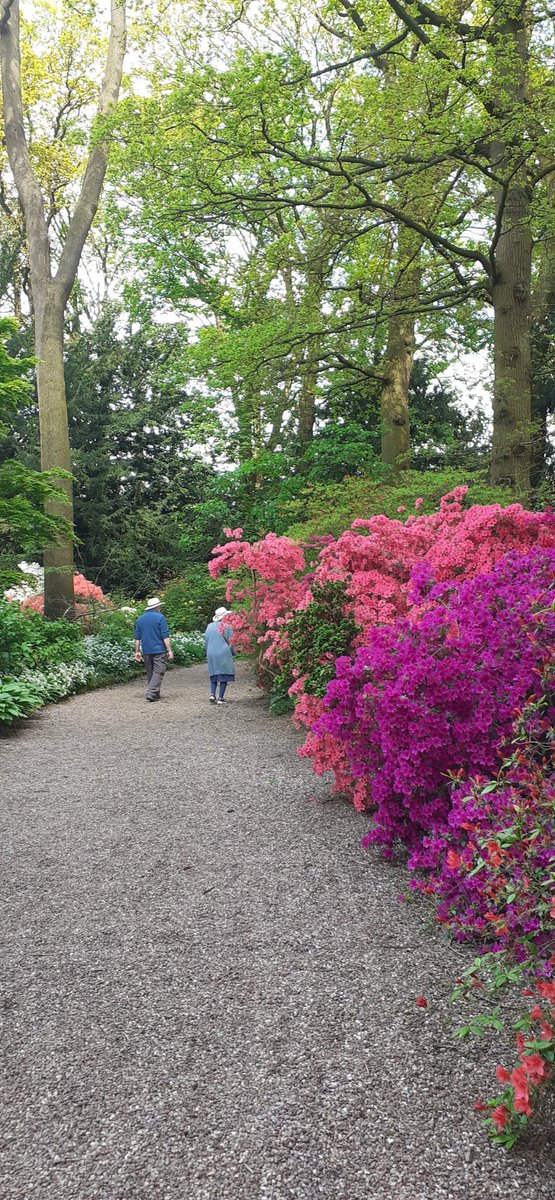 Beautiful garden walk followed by afternoon tea. #HodnetHall #NShropshireConservatives