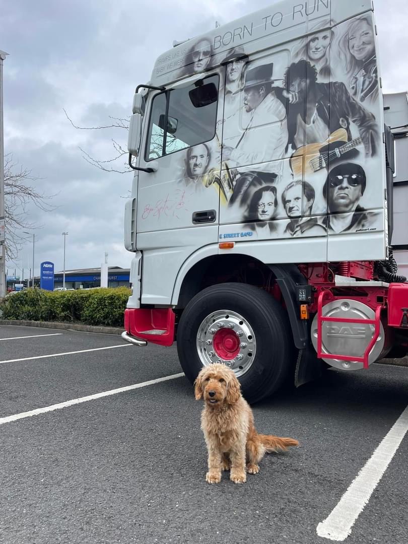 tommymcc321's tweet image. Tufty will be giving out numbers this evening with @aineindublin from a car parked beside this UBER COOL truck ☺️ 6pm-10pm in Shane Retail Park (when Costa Coffee closes) 
 #topdog #bestboy #springsteeninbelfast 
Numbers tomorrow Monday 6th May from Costa Coffee 8am onwards 1/2