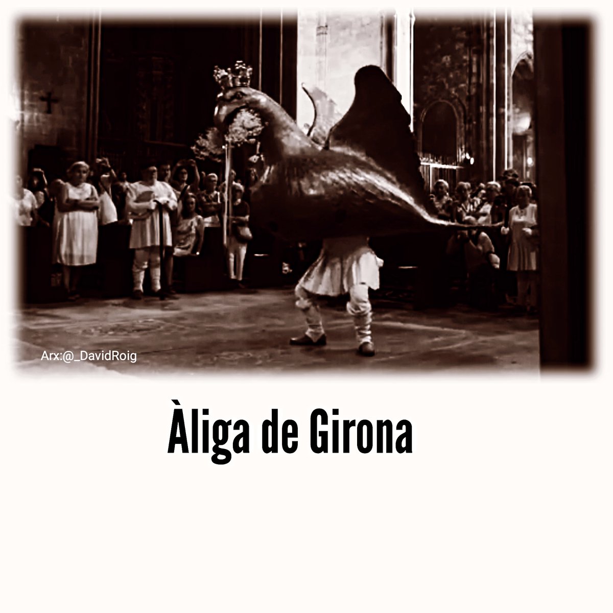 Ball de l'àliga 
#AligaDeGirona #AligaDeCatalunya #AliguesDeCatalunya #AliguesDelsPaisosCatalans #BallDeLAliga #DansaDeLAliga #FiguresZoomorfiques #ImatgeriaFestiva
#BestiariFestiuIPopular
#Aliga #Aguila #Eagle #Aigle #Aquila #Aguiles #Aligues #BestiariFestiu #BestiariPopular