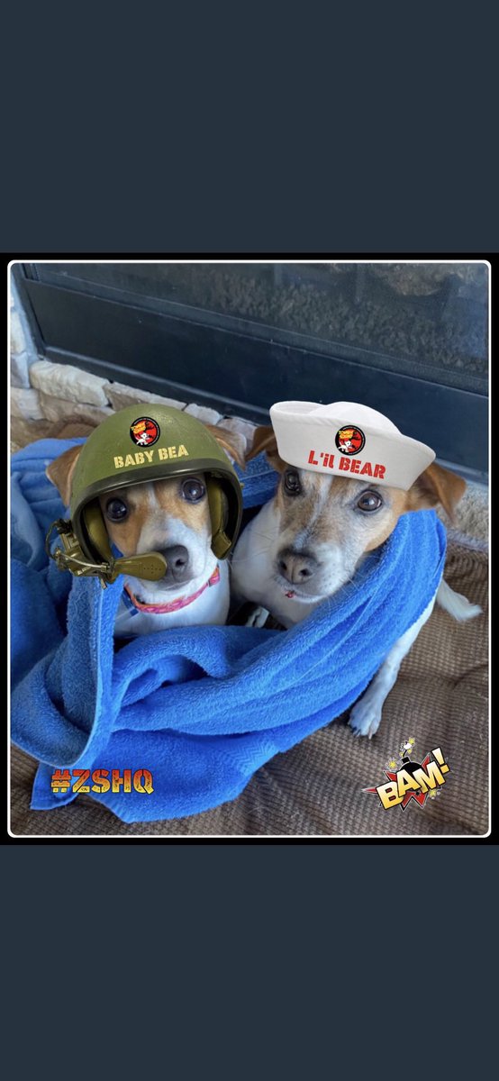 #ZSHQ #ZombieSquad #Promotion #Dogs 🫡🫡#sundayvibes #dogsofX 🫡#dogsoftwitter Hey Pals! We are LIEUTENANTS now! Zombies better loooook ouuutttt! RaaaAAAA!! 🫡🫡