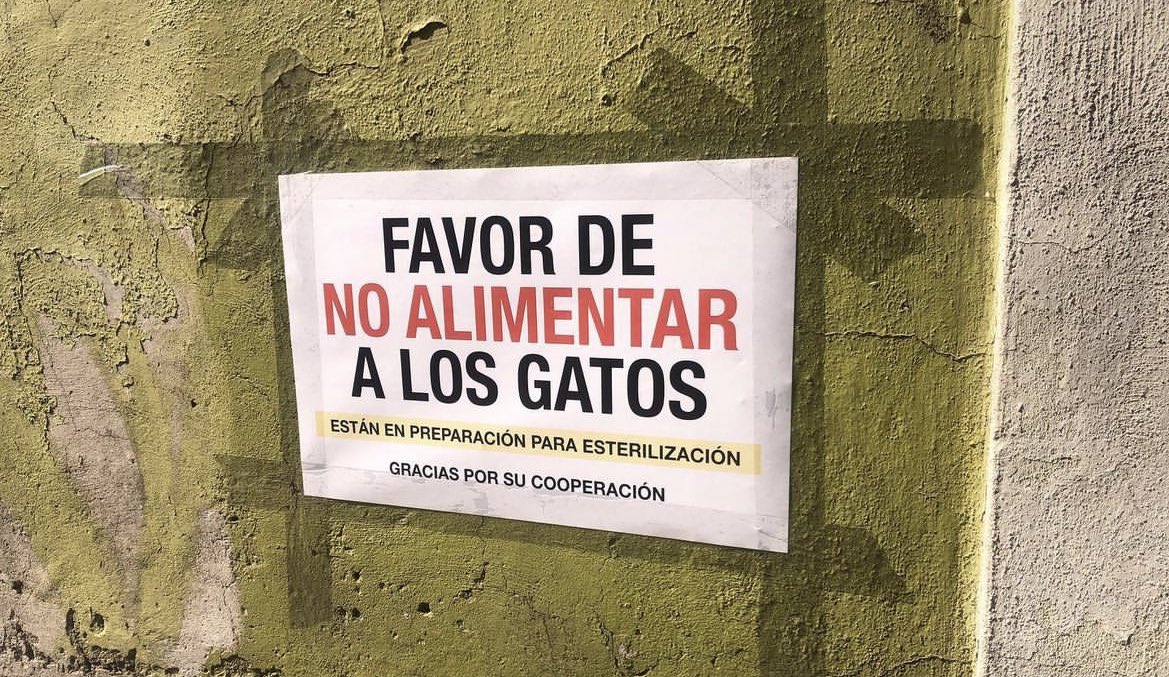 Amikos 🚨🚨 mañana es el TNR de los gatitos guerreros! Alberto, ya puso el anuncio de “no alimentar” para que mañana a las 5:30am demos inicio con la captura y esterilizacion. Recuerden que mi mamá irá a apoyar y a documentar todo. Les pedimos su apoyo para cubrir los gastos ♥️