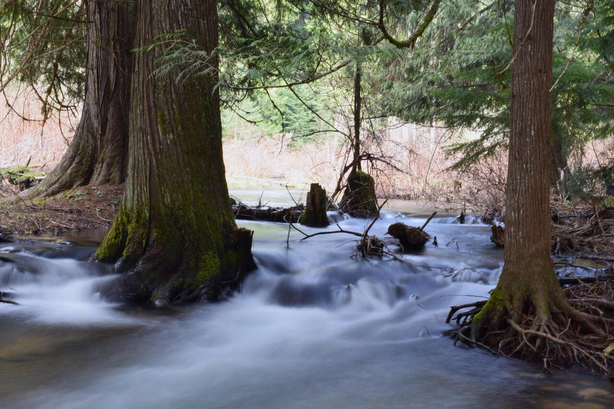 Enjoy #OurEarthPorn! (Steal This Hashtag for your own and join the community of Nature Addicts! ) Spring runoff, Idaho [OC] 6000x4000 Photo Credit: TheLongestHuman .