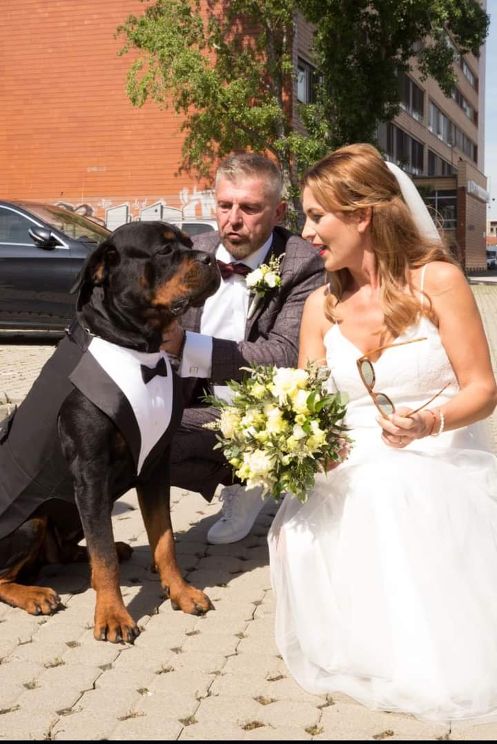 At my girlfriend wedding 😀

#rottweiler #rottweilerdog #doglover #dogsofinstagram #dogsofinsta #dogs